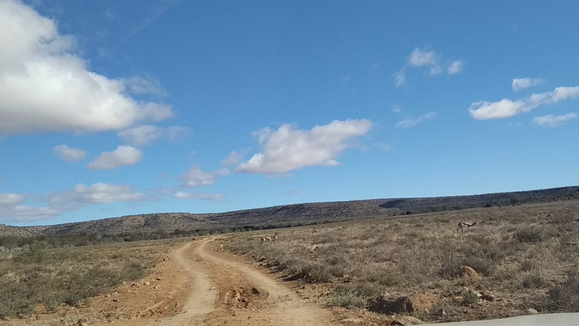  Mountain Zebra National Park