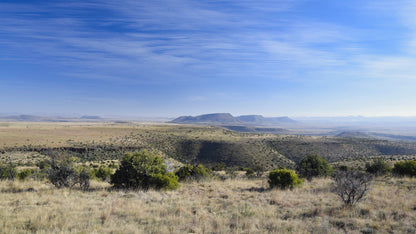  Mountain Zebra National Park