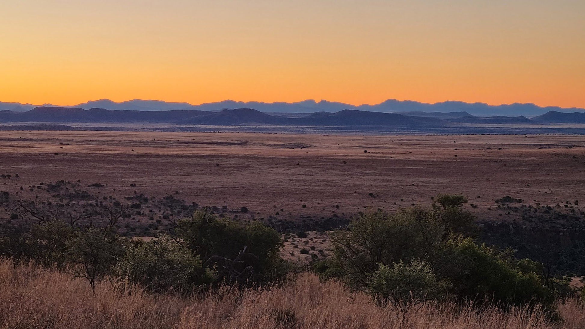  Mountain Zebra National Park