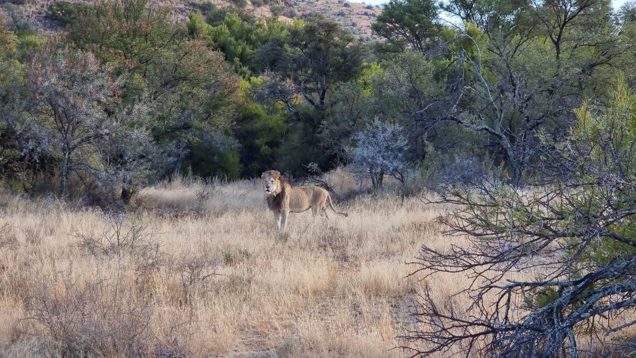  Mountain Zebra National Park