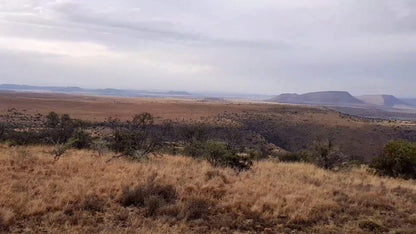  Mountain Zebra National Park