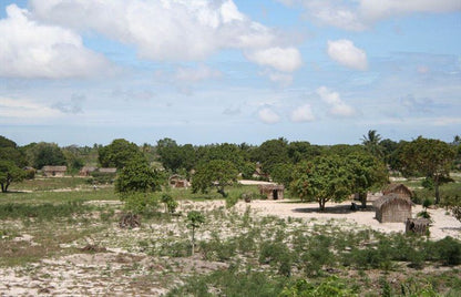 Mozambique And Kruger Park 6 Night Safari Tour South Kruger Park Mpumalanga South Africa Complementary Colors, Palm Tree, Plant, Nature, Wood, Ruin, Architecture