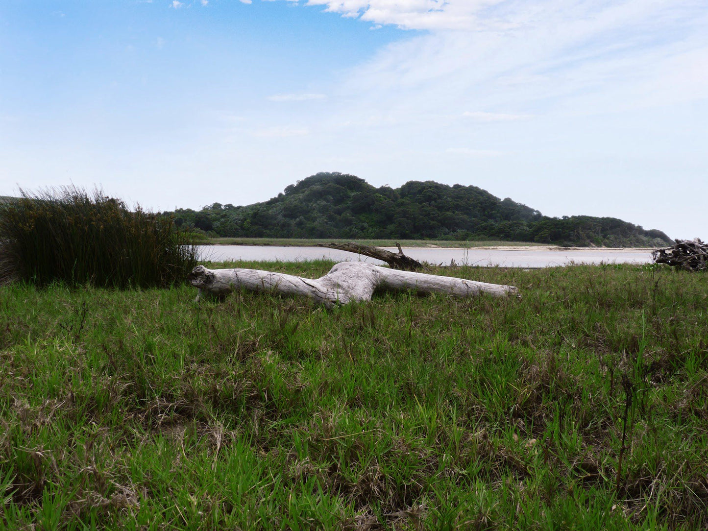  Mpenjati Nature Reserve - south