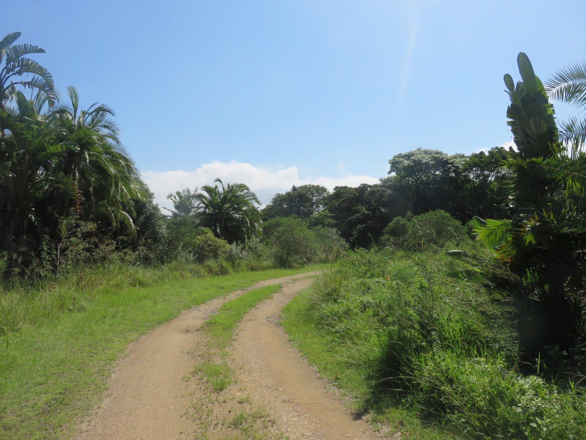  Mpenjati Nature Reserve - south