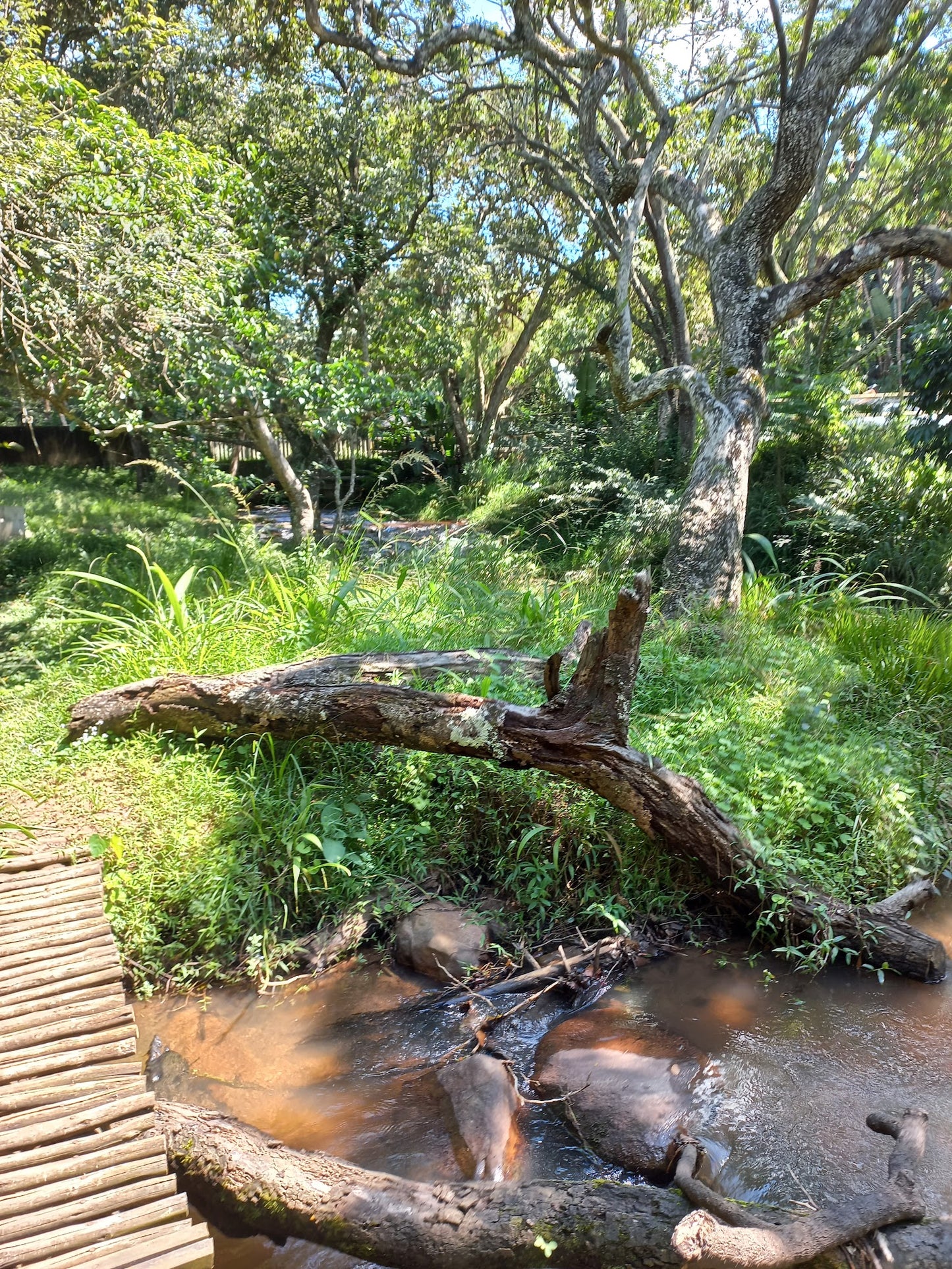 Mphiti Waterfall