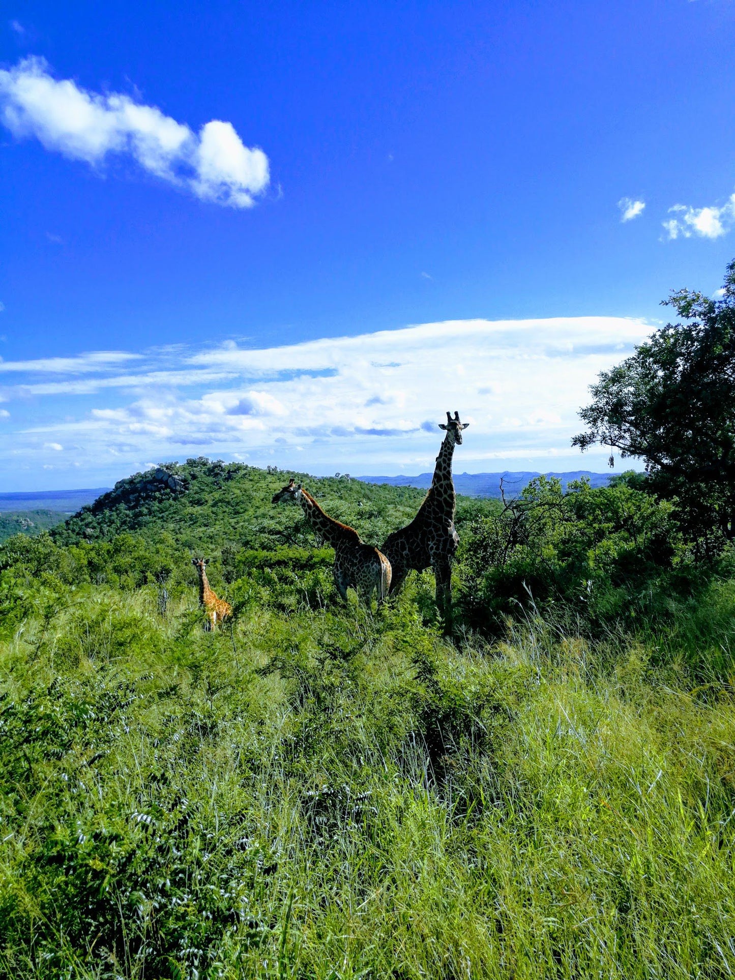  Mthethomusha Game Reserve