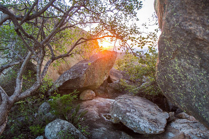  Mthethomusha Game Reserve