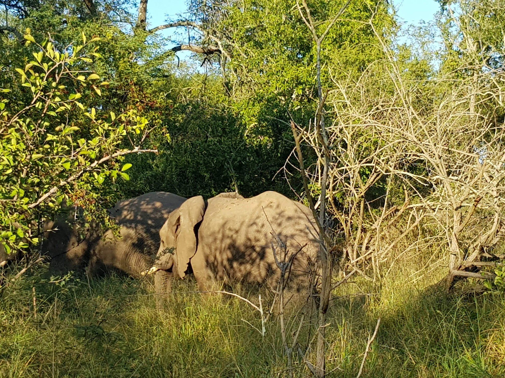  Mthethomusha Game Reserve