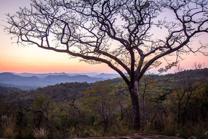  Mthethomusha Game Reserve