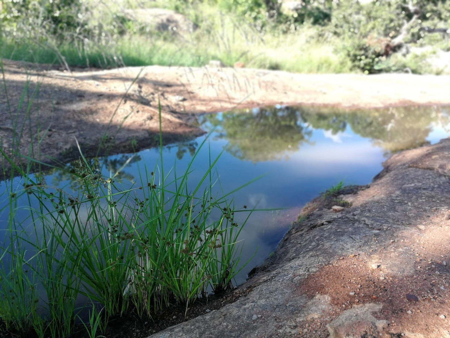  Mthethomusha Game Reserve