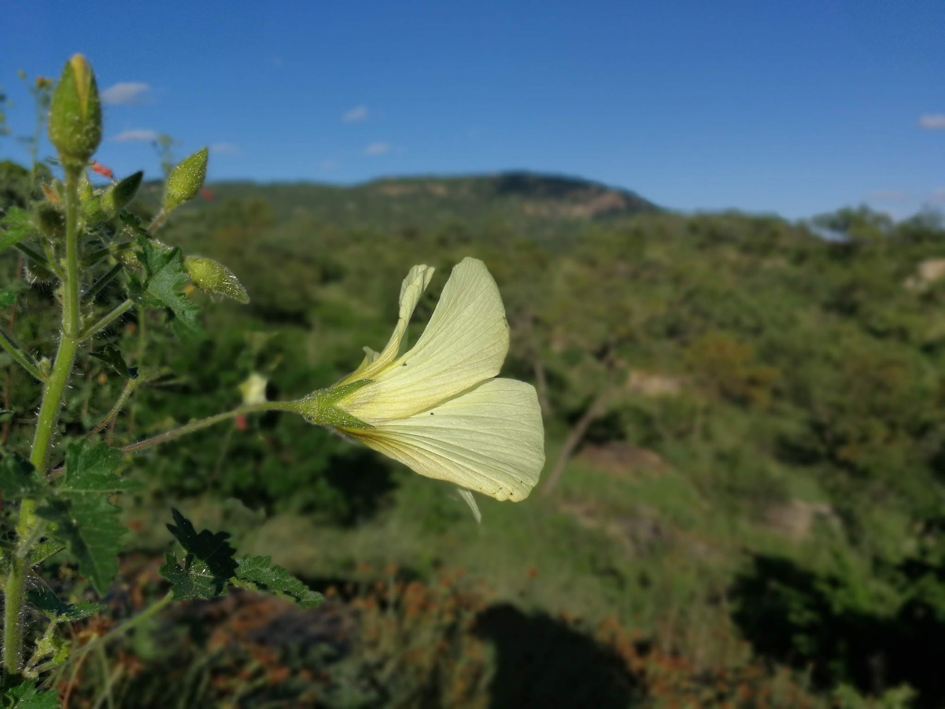  Mthethomusha Game Reserve