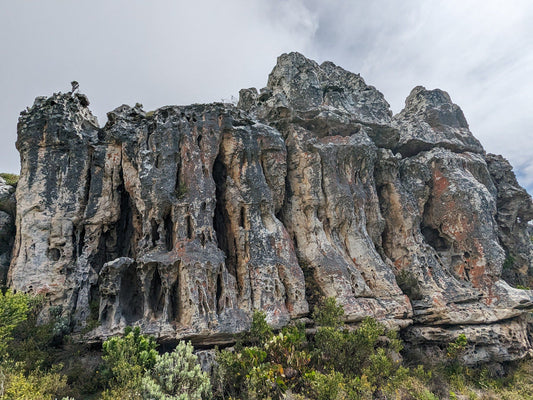  Muizenberg Cave