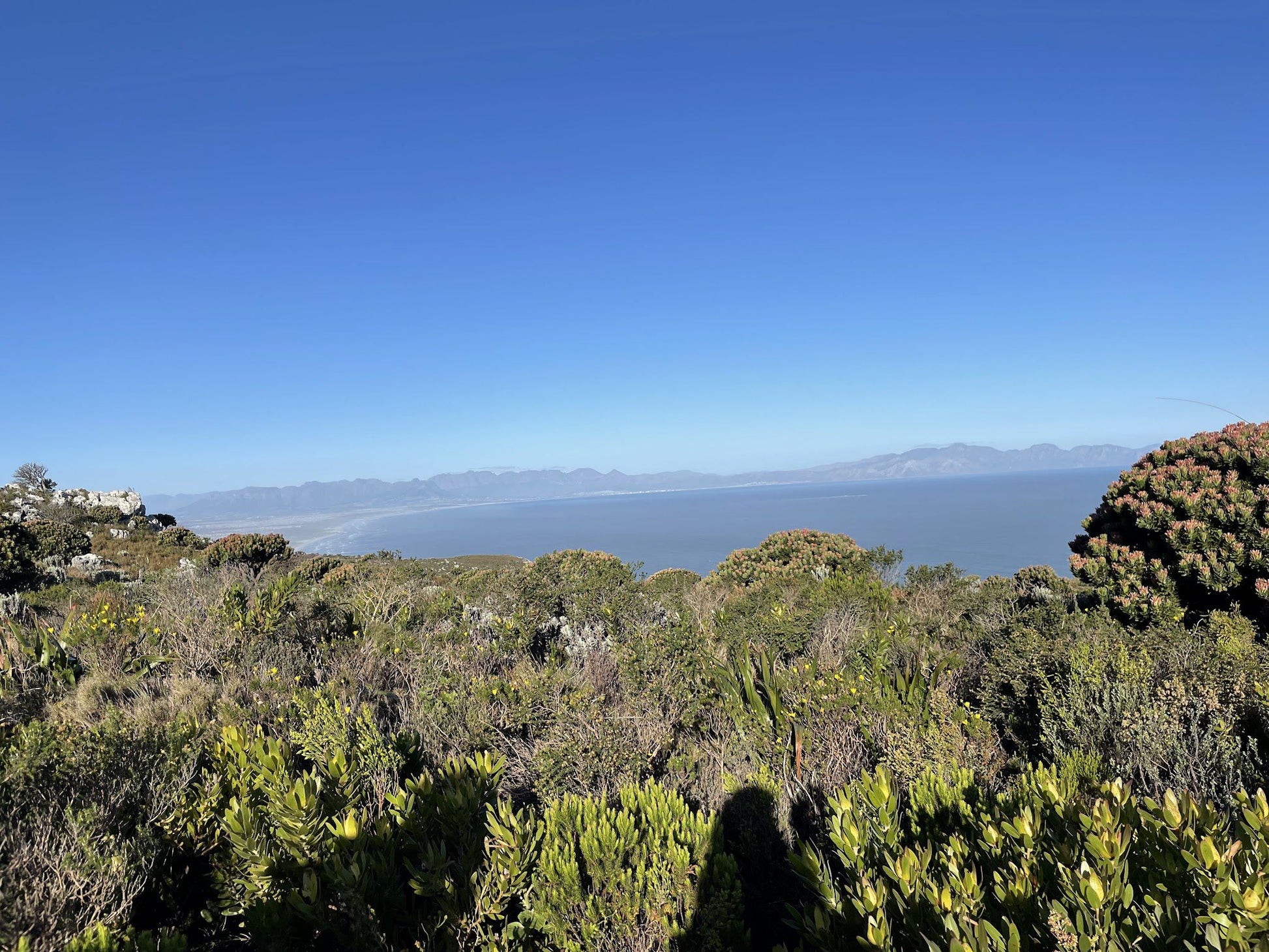  Muizenberg Cave