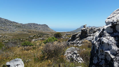  Muizenberg Cave