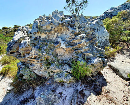  Muizenberg Cave