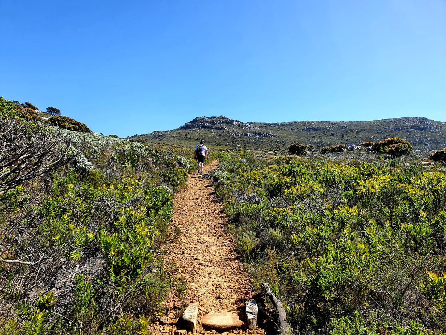  Muizenberg Cave