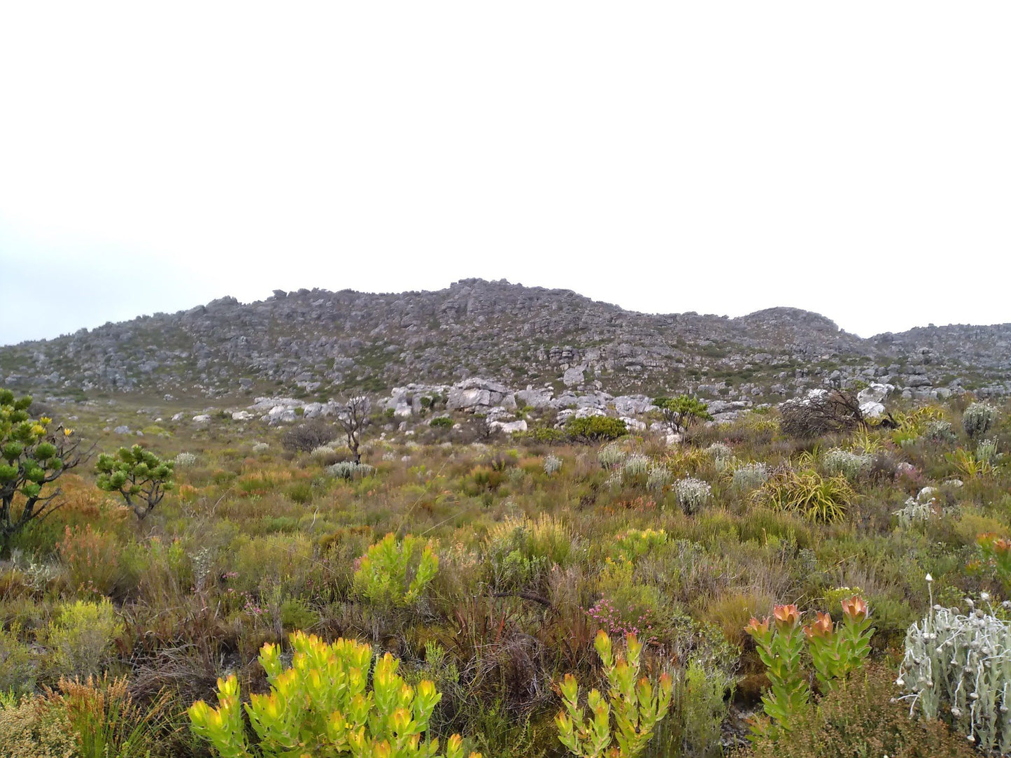  Muizenberg Cave