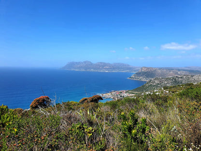  Muizenberg Cave