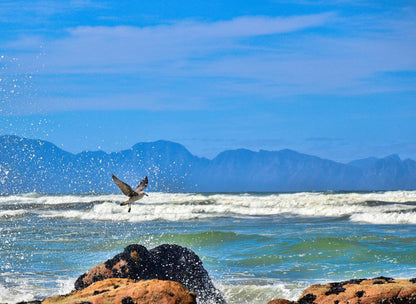 Muizenberg - St James Walking Path