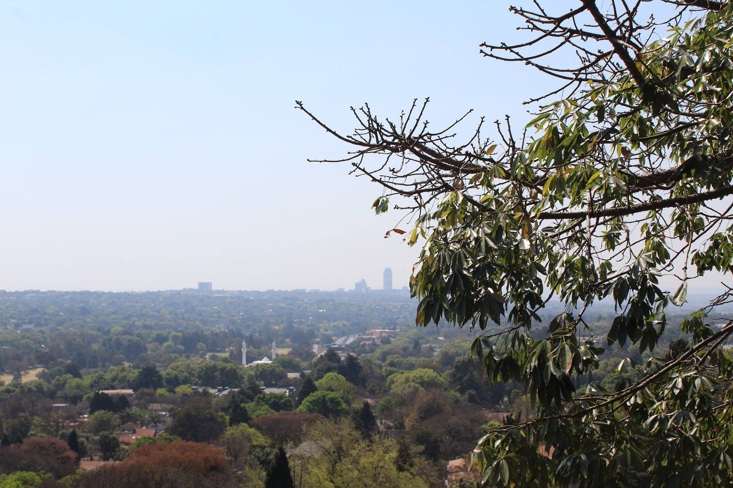  Munro Drive Viewpoint