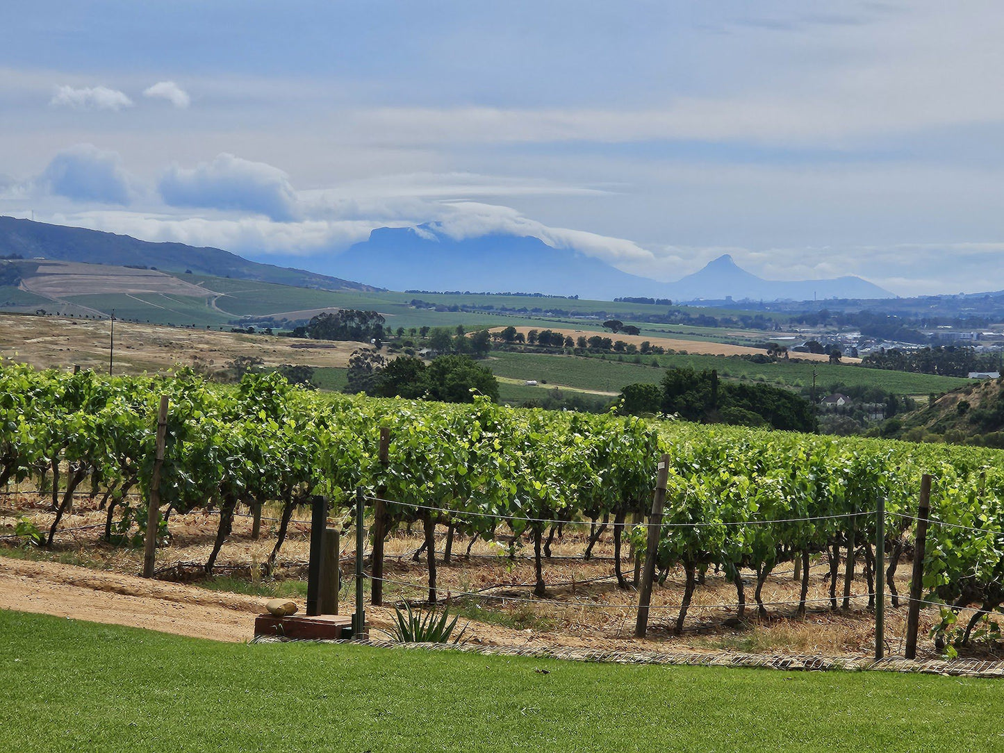  Muratie Wine Estate