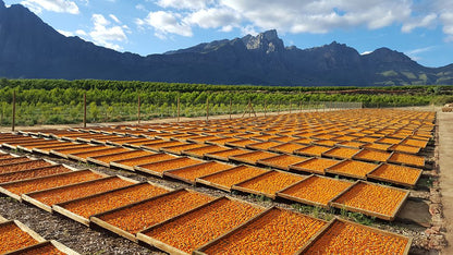  Murludi Hiking Trail and Dried Fruit