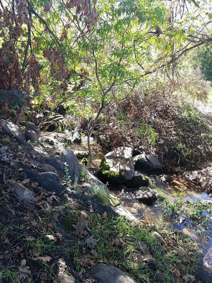  Murludi Hiking Trail and Dried Fruit