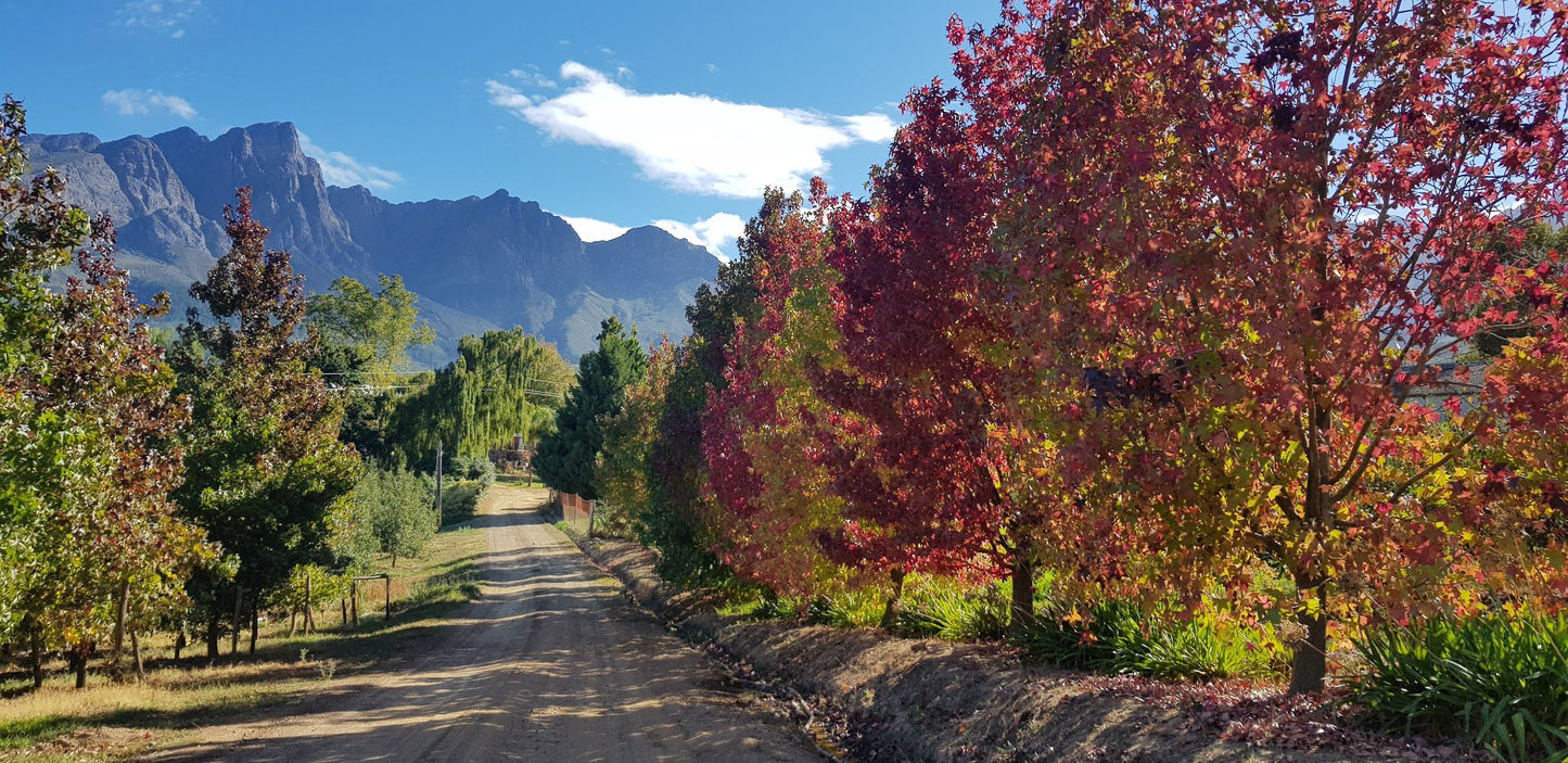  Murludi Hiking Trail and Dried Fruit