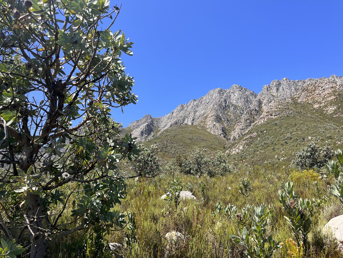  Murludi Hiking Trail and Dried Fruit