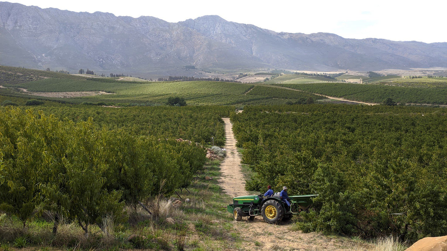  Murludi Hiking Trail and Dried Fruit