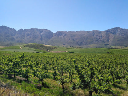  Murludi Hiking Trail and Dried Fruit