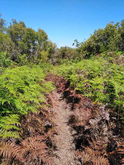  Murludi Hiking Trail and Dried Fruit