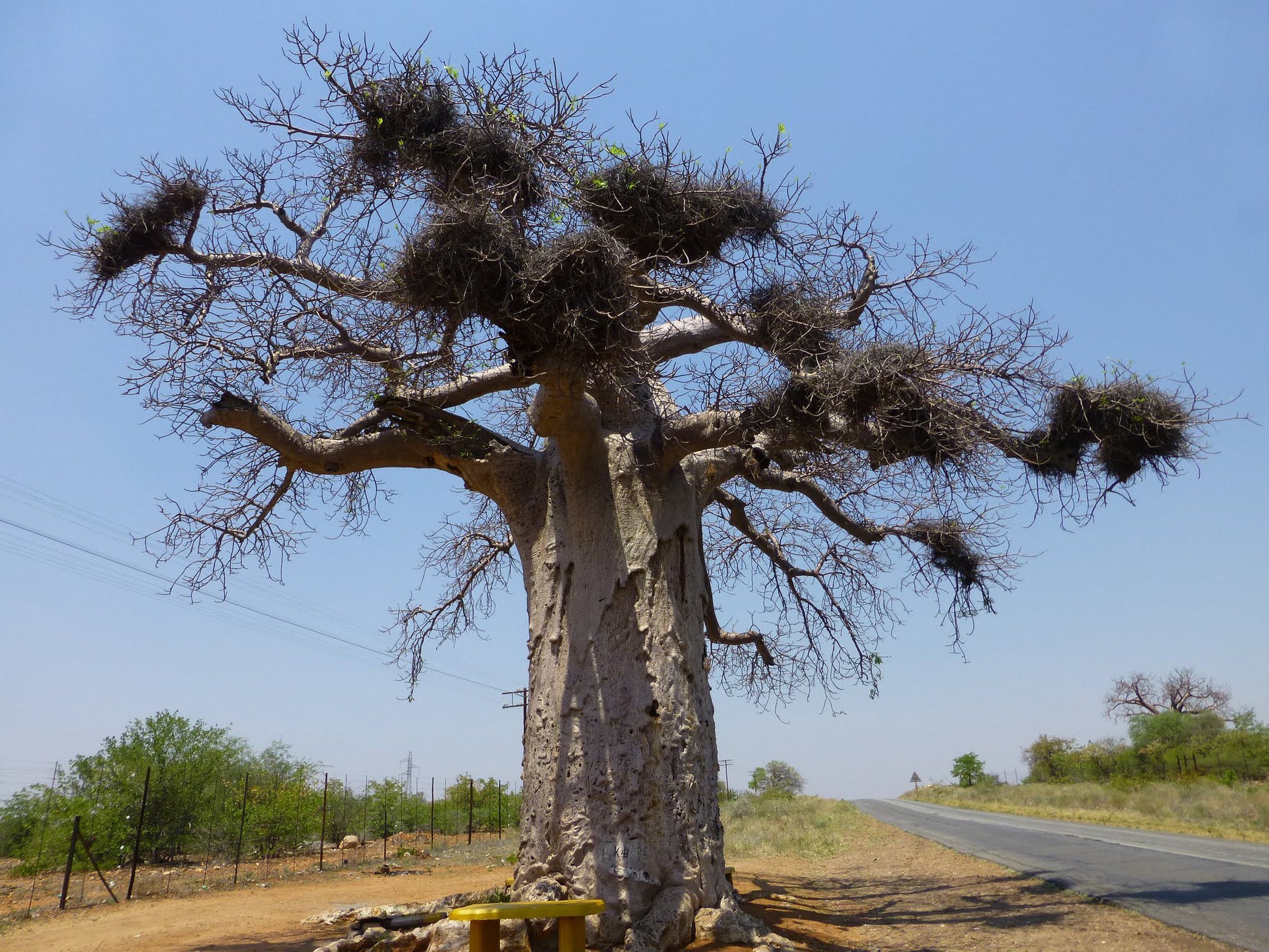  Musina Nature Reserve