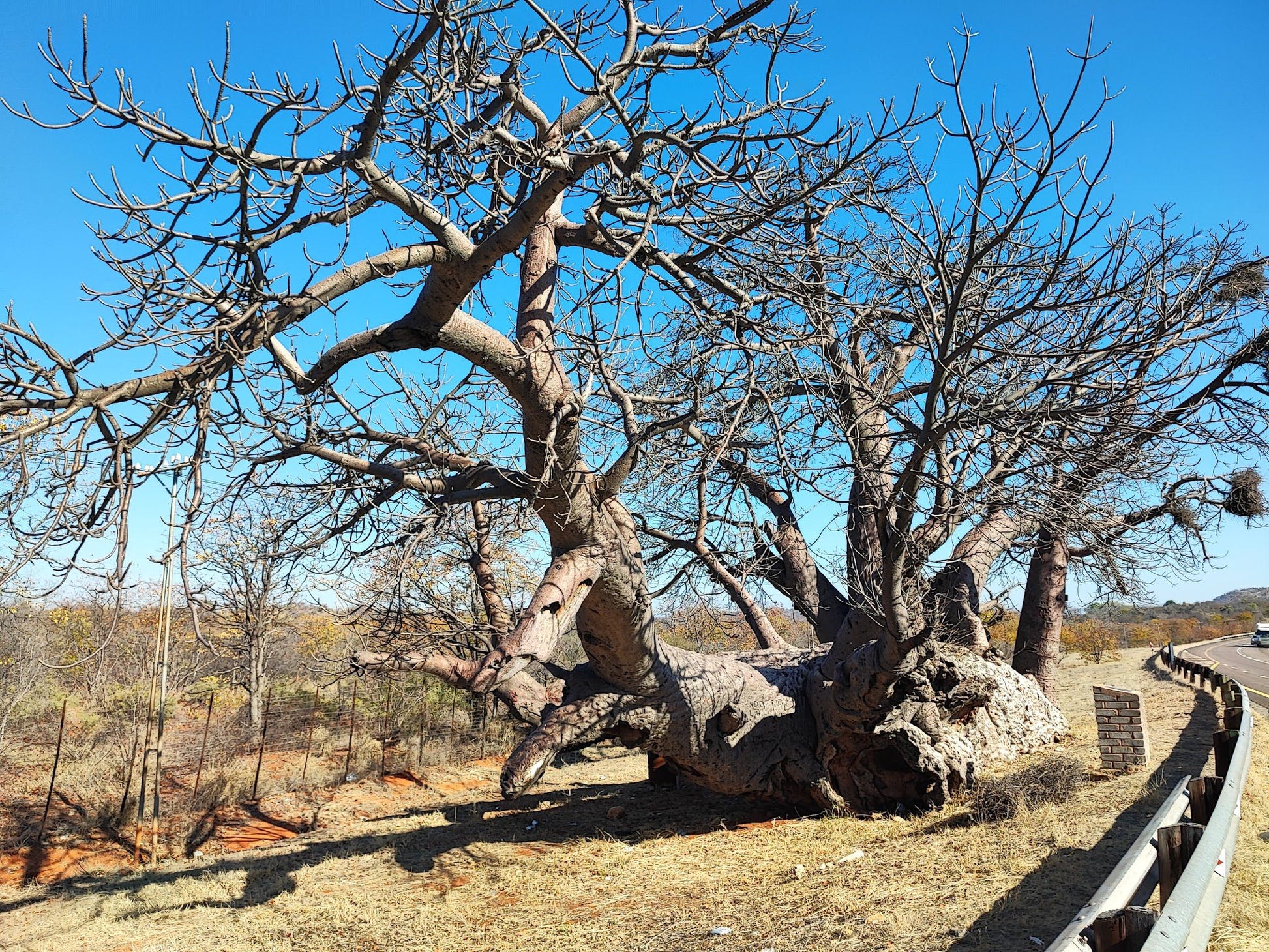  Musina Nature Reserve