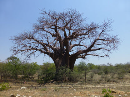  Musina Nature Reserve