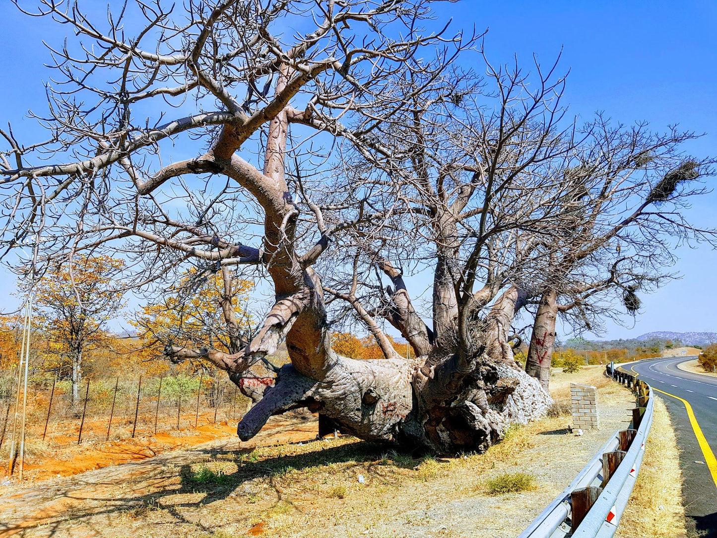  Musina Nature Reserve