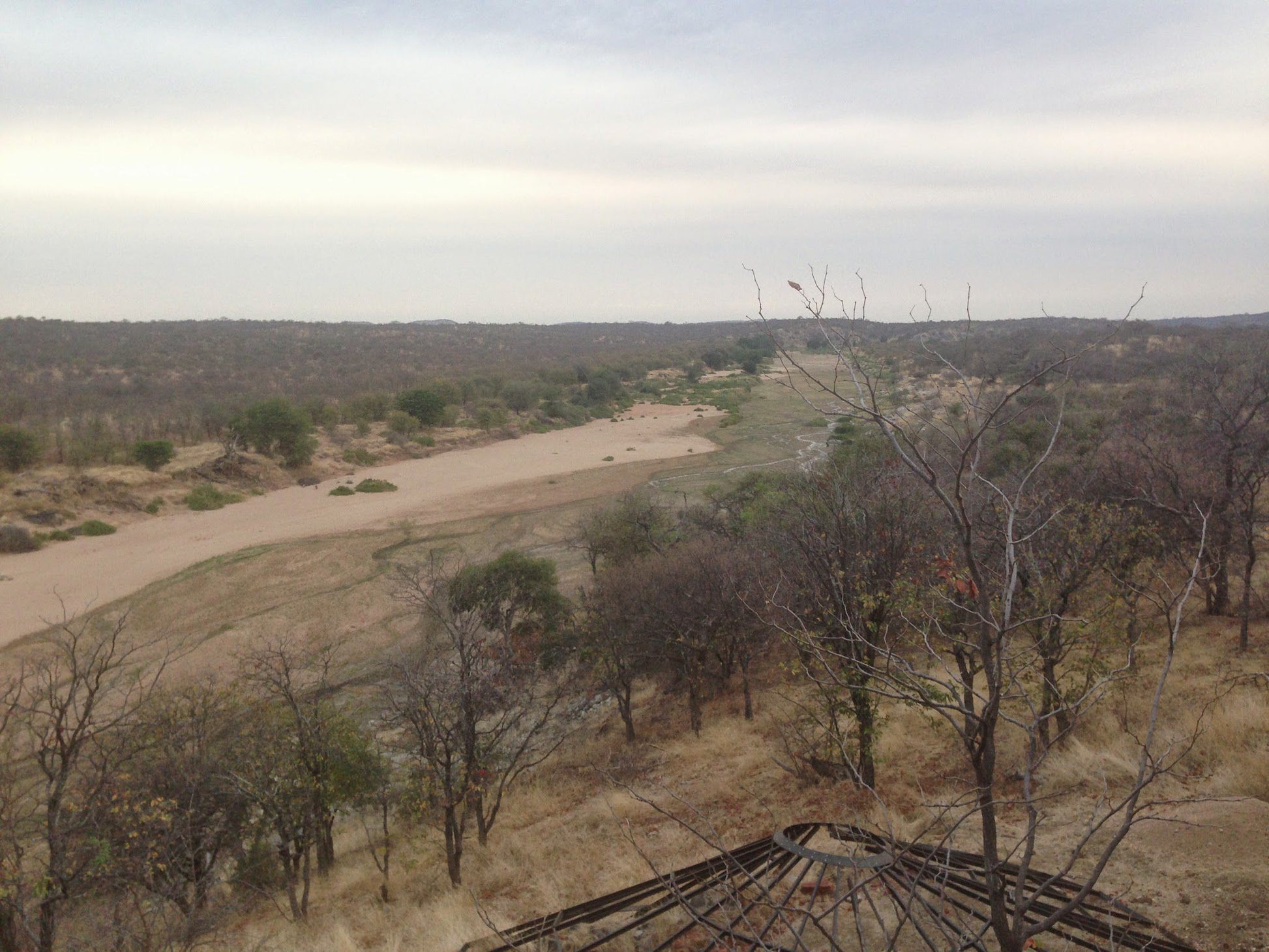  Musina Nature Reserve