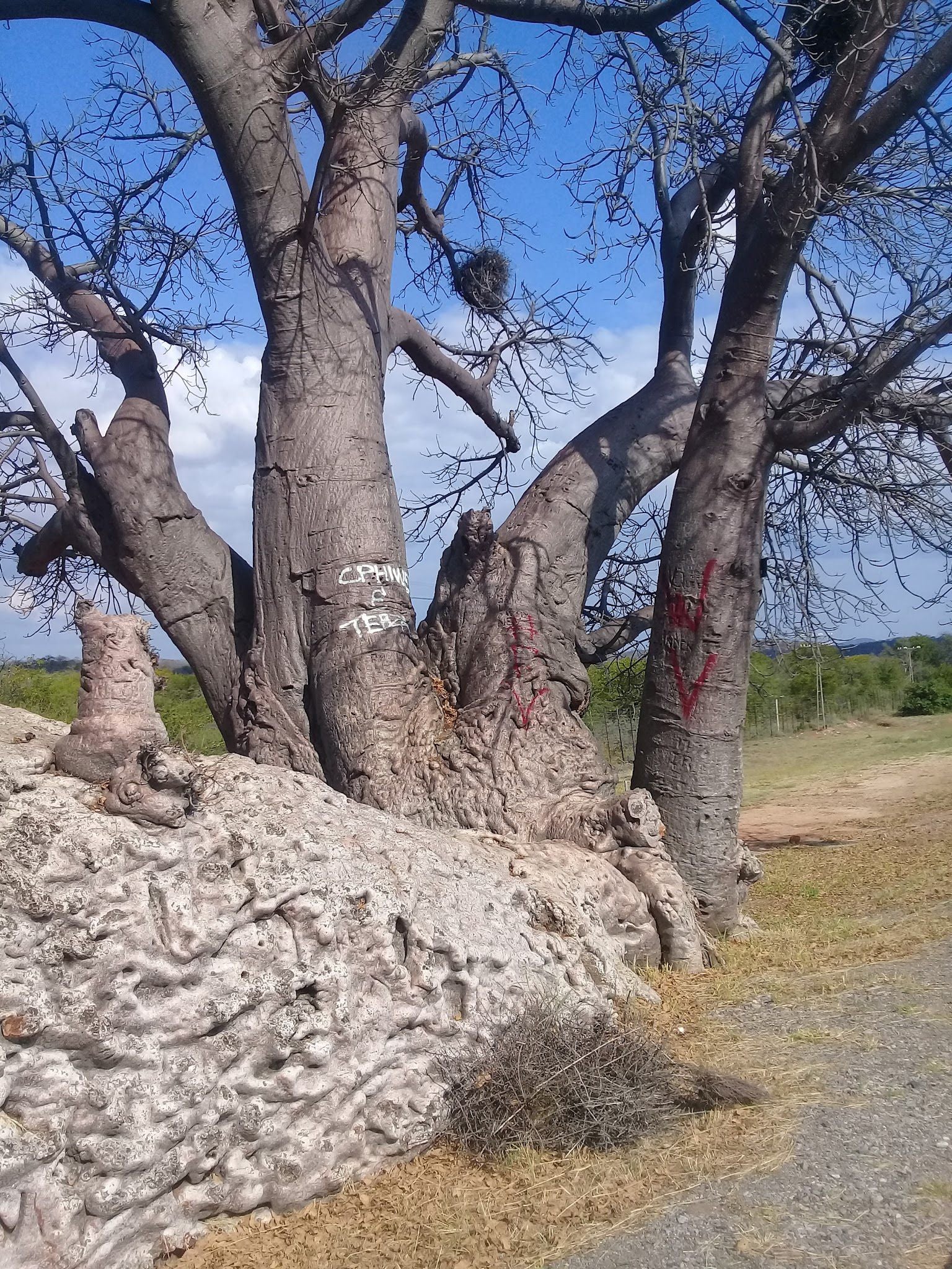  Musina Nature Reserve