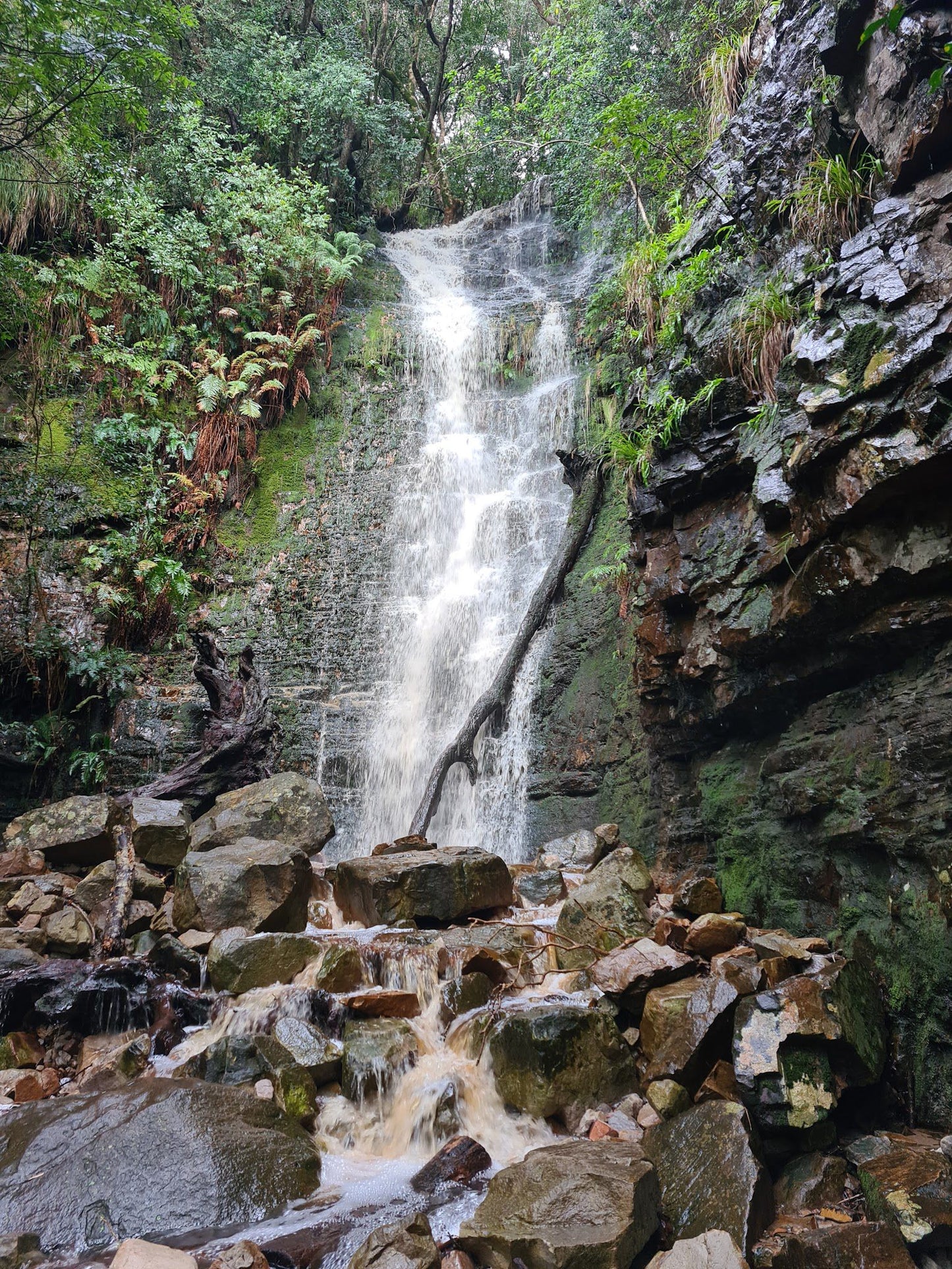  Myburgh's Waterfall Ravine