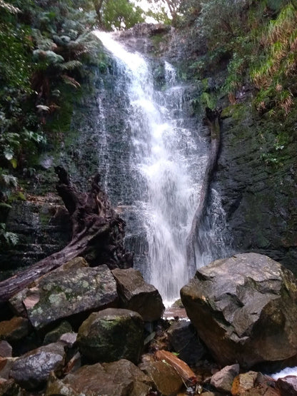  Myburgh's Waterfall Ravine