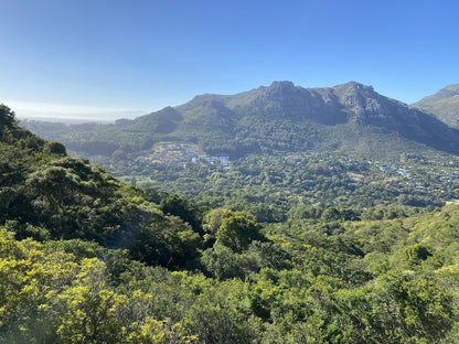  Myburgh's Waterfall Ravine