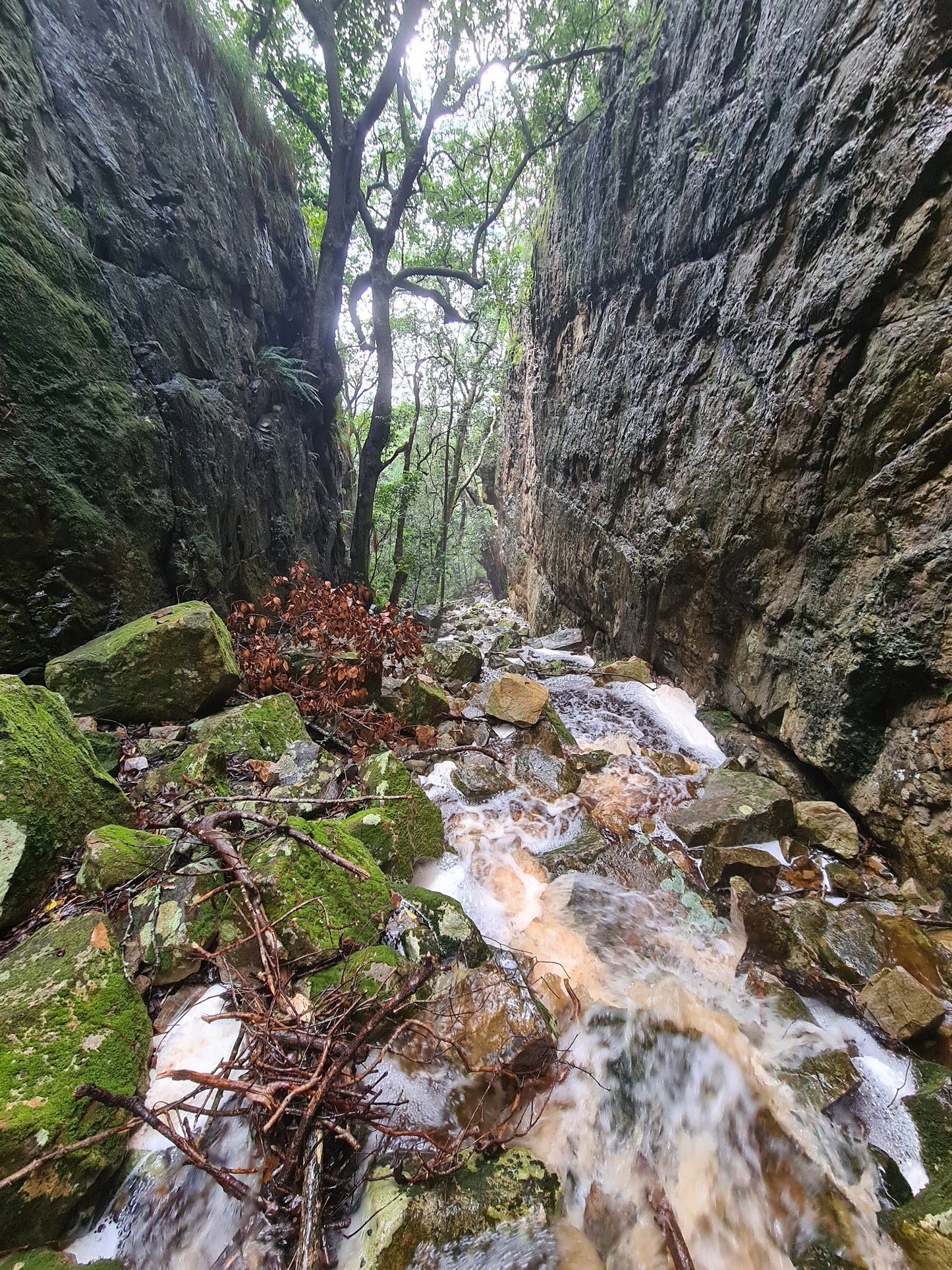  Myburgh's Waterfall Ravine