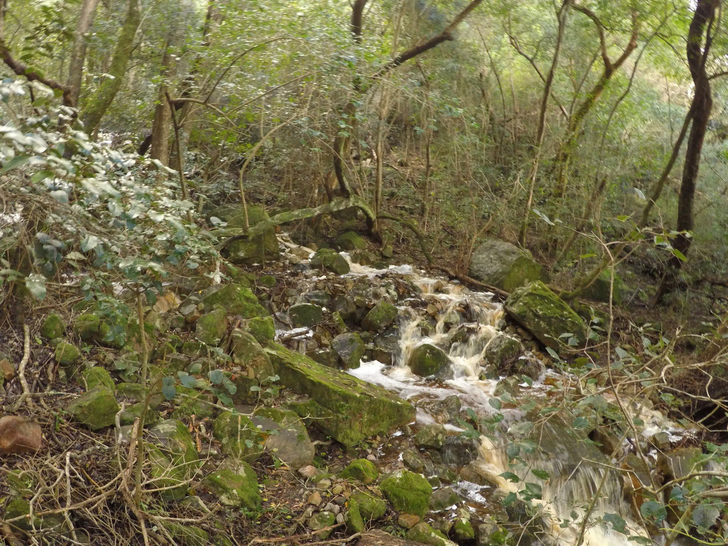  Myburgh's Waterfall Ravine