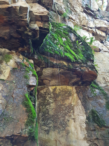  Myburgh's Waterfall Ravine