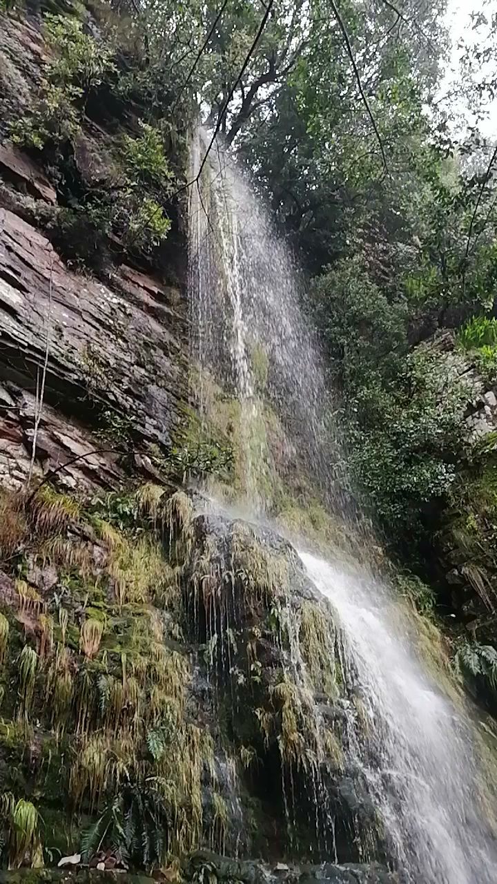  Myburgh's Waterfall Ravine