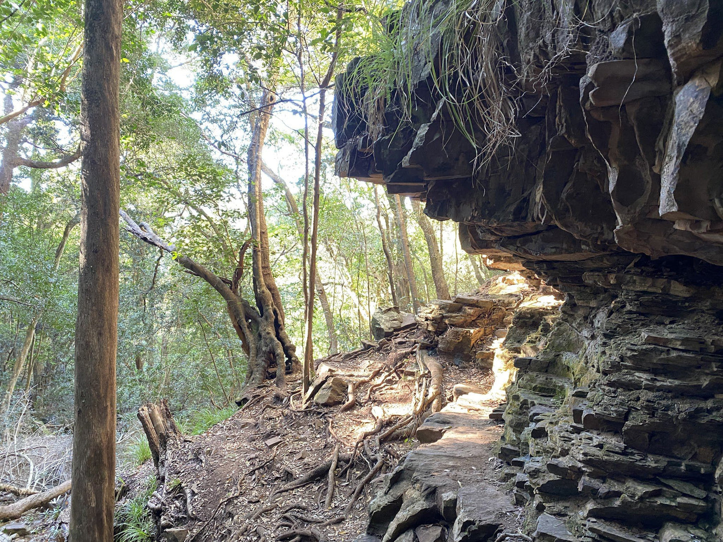  Myburgh's Waterfall Ravine