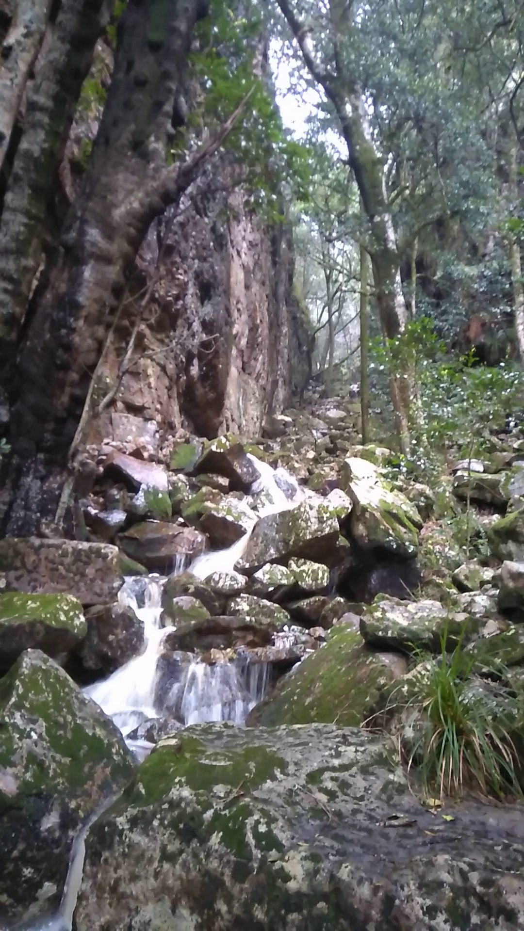  Myburgh's Waterfall Ravine