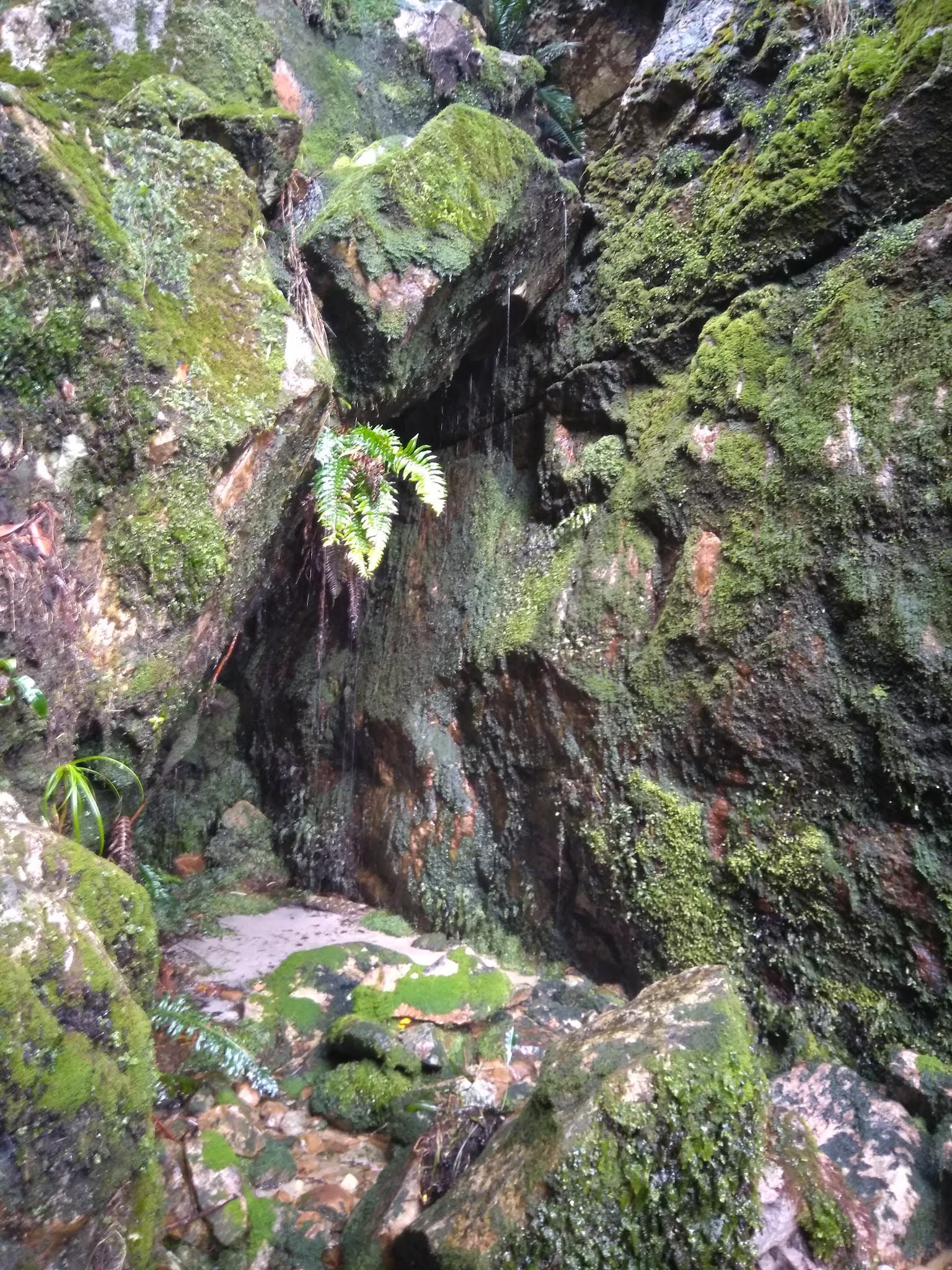  Myburgh's Waterfall Ravine