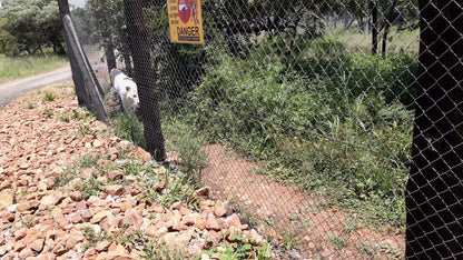  Mystic Monkeys and Feathers Wildlife Park