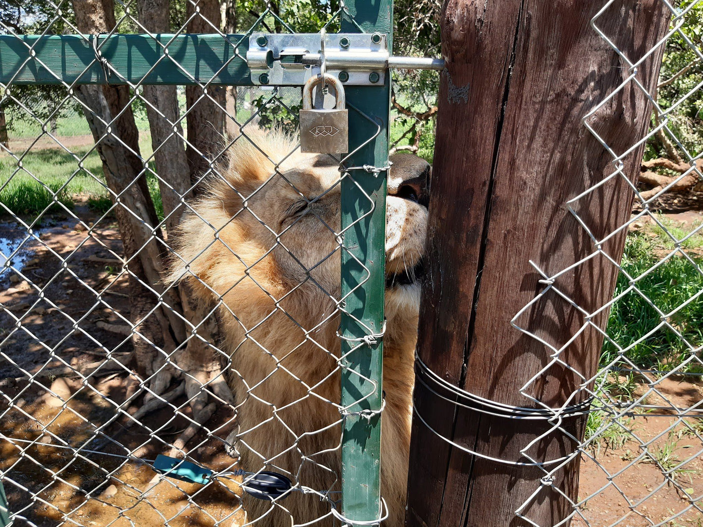  Mystic Monkeys and Feathers Wildlife Park